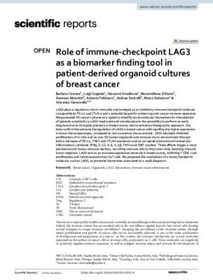 Role of immune-checkpoint LAG3 as a biomarker finding tool in patient-derived organoid cultures of breast cancer