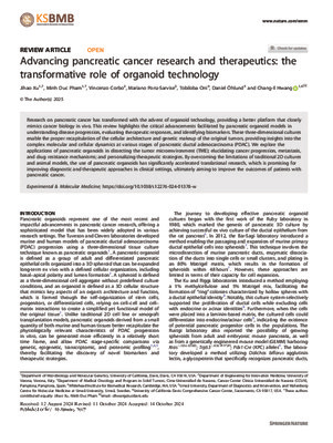 Advancing pancreatic cancer research and therapeutics: the transformative role of organoid technology