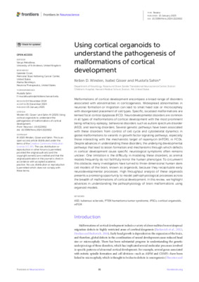 Using cortical organoids to understand the pathogenesis of malformations of cortical development