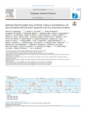 Exploring high-throughput drug sensitivity testing in neuroblastoma cell lines and patient-derived tumor organoids in the era of precision medicine