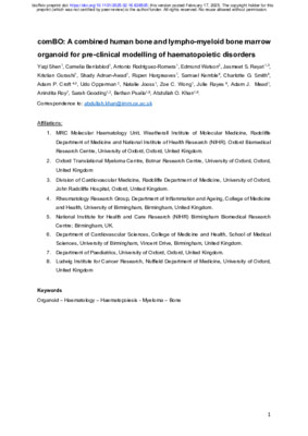 comBO: A combined human bone and lympho-myeloid bone marrow organoid for pre-clinical modelling of haematopoietic disorders 