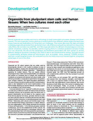 Organoids from pluripotent stem cells and human tissues: When two cultures meet each other