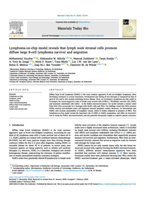 Lymphoma-on-chip model reveals that lymph node stromal cells promote diffuse large B-cell lymphoma survival and migration
