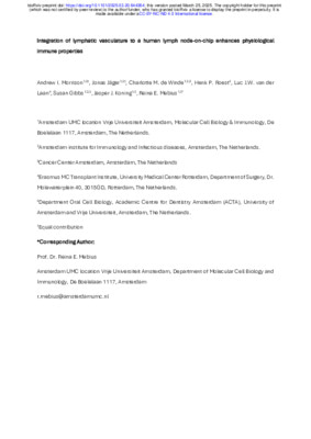 Integration of lymphatic vasculature to a human lymph node-on-chip enhances physiological immune properties 