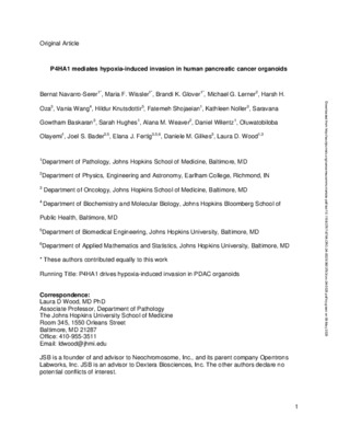P4HA1 mediates hypoxia-induced invasion in human pancreatic cancer organoids