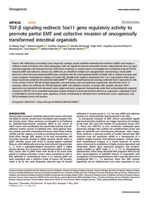 TGF-β signaling redirects Sox11 gene regulatory activity to promote partial EMT and collective invasion of oncogenically transformed intestinal organoids