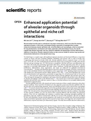 Enhanced application potential of alveolar organoids through epithelial and niche cell interactions