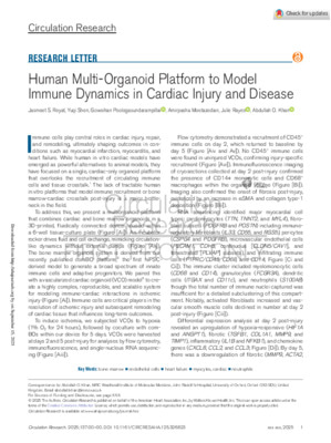 Human Multi-Organoid Platform to Model Immune Dynamics in Cardiac Injury and Disease