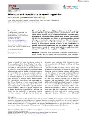 FEBS Letters - 2026- Diversity and complexity in neural organoids