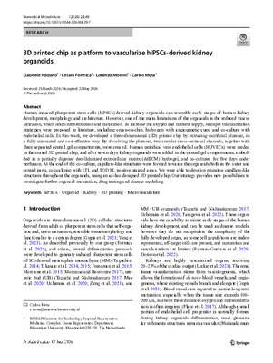3D printed chip as platform to vascularize hiPSCs-derived kidney organoids