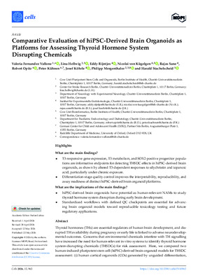 Comparative Evaluation of hiPSC-Derived Brain Organoids as Platforms for Assessing Thyroid Hormone System Disrupting Chemicals