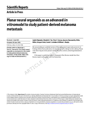 Planar neural organoids as an advanced in vitro model to study patient-derived melanoma metastasis