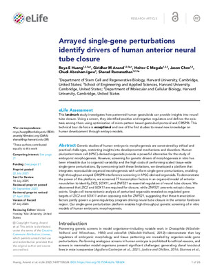 'Our single-gene perturbation platform enables high-throughput genetic screening of in vitro models of human embryonic morphogenesis'.