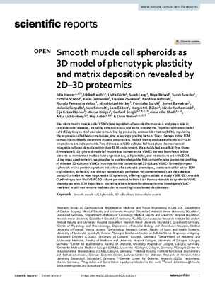 Smooth muscle cell spheroids as 3D model of phenotypic plasticity and matrix deposition revealed by 2D–3D proteomics