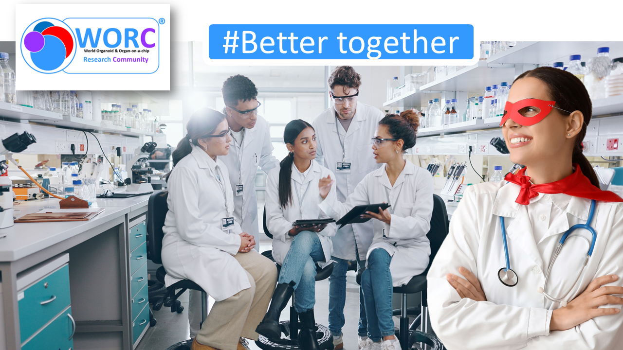 NEW: Limited time FREE FULL MEMBERSHIP Upgrades!