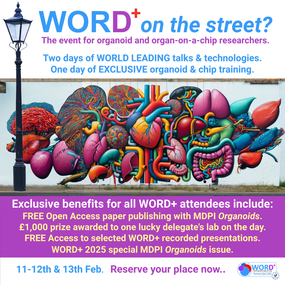 WORD+ on the street?