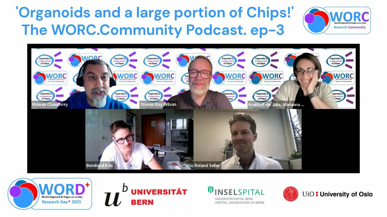 Organoids and a large portion of Chips! episode 3.