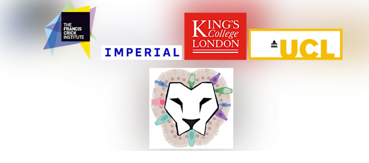 London gastroIntestinal Organoid Network (LION) Launch symposium