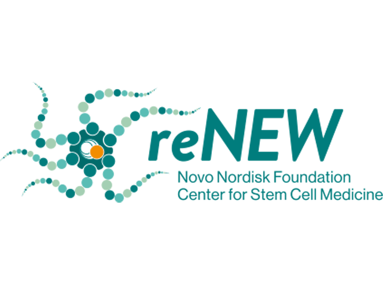 reNEW ARTxSCIENCE Competition: 'Discover the power of science combined with artistic expression'.