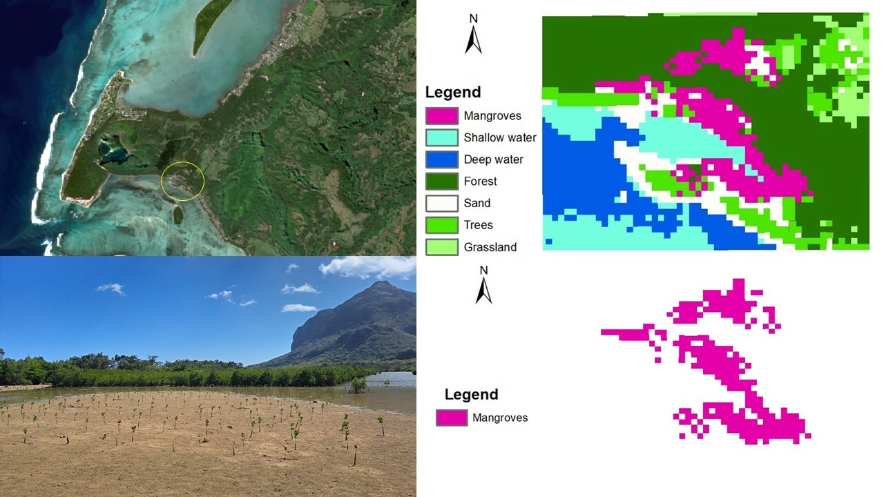 Monitoring mangroves via remote sensing to increase climate change resilience