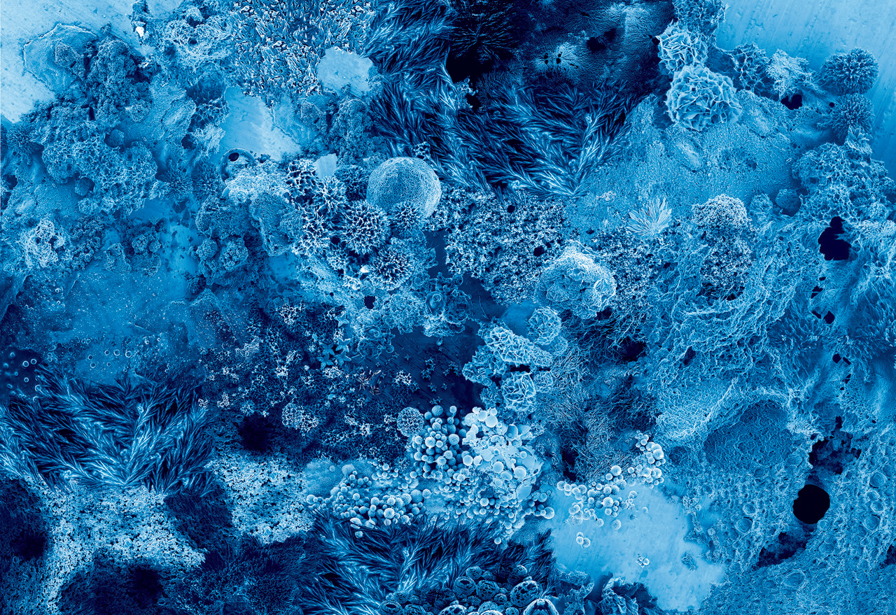 Art and science: two complementary views of the world