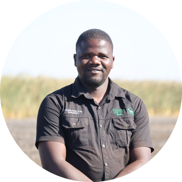 Go to the profile of Sikela Namangolwa