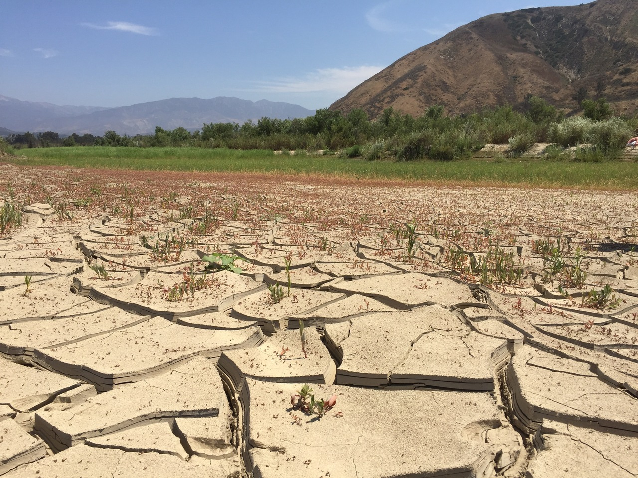 Underfoot and Overlooked: Groundwater’s Key Role in Ecosystem Resilience