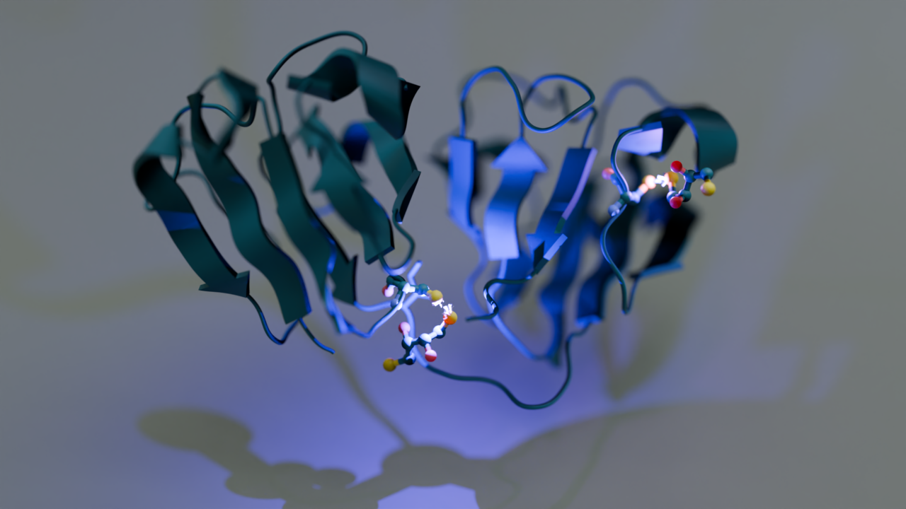 An ultraviolet-driven rescue pathway for oxidative stress to eye lens protein human gamma-D crystallin