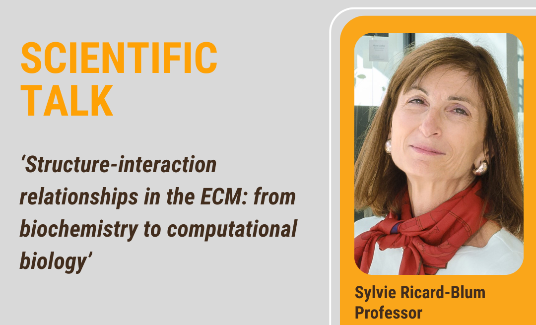 Linking biochemistry to computational biology with Sylvie Ricard-Blum