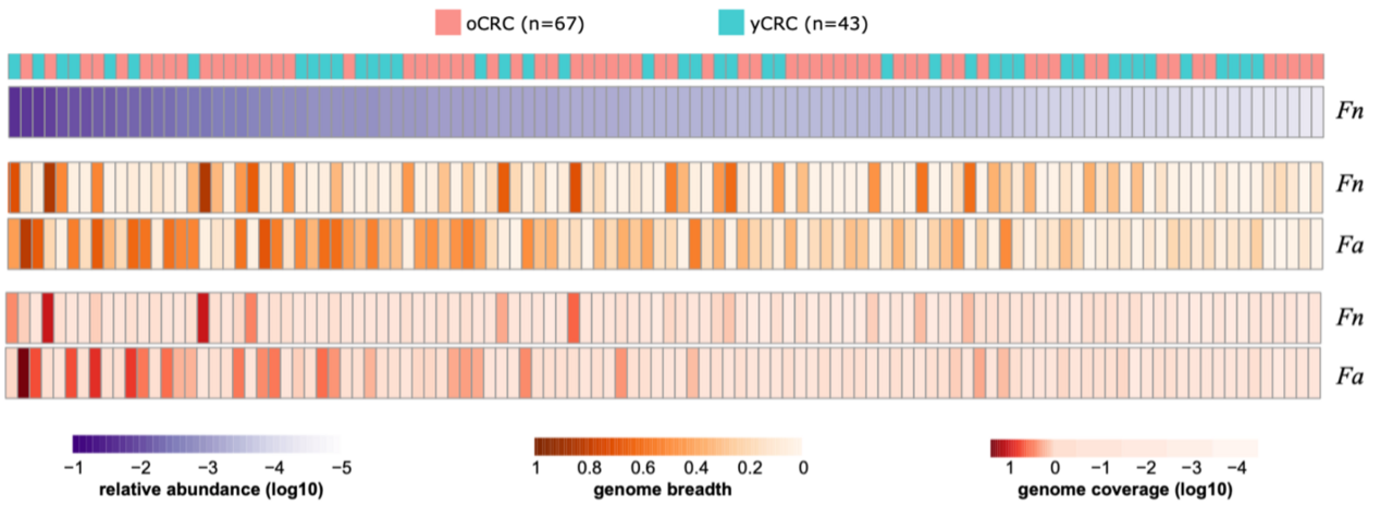 Microbiome signatures of old- and young-onset colorectal cancer