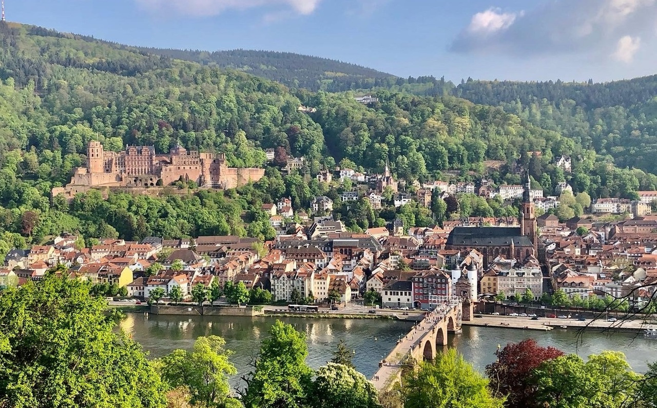 MSC Postdoctoral Fellowships in cancer research in Germany