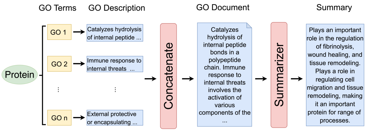 GO2Sum: Generating Human Readable Functional Summary of Proteins from GO Terms