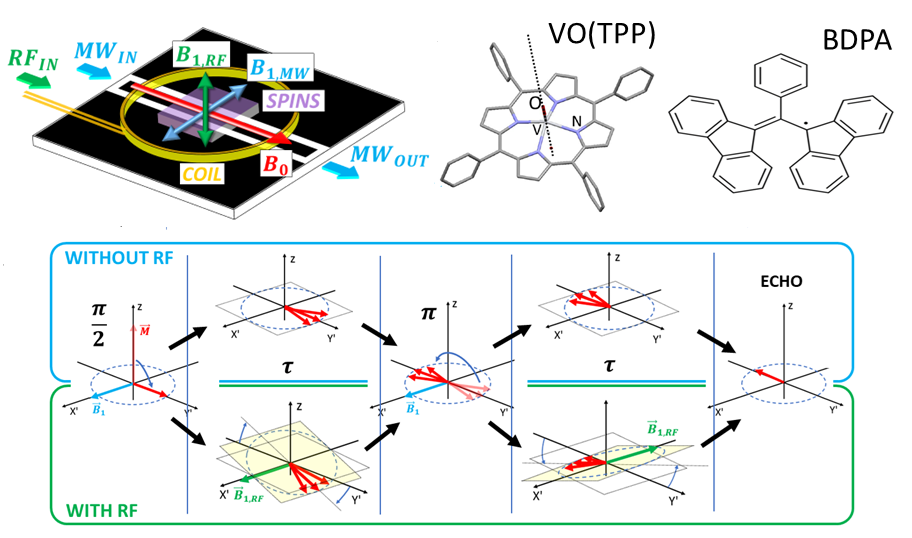 Quantum sensing of magnetic fields with molecular spins