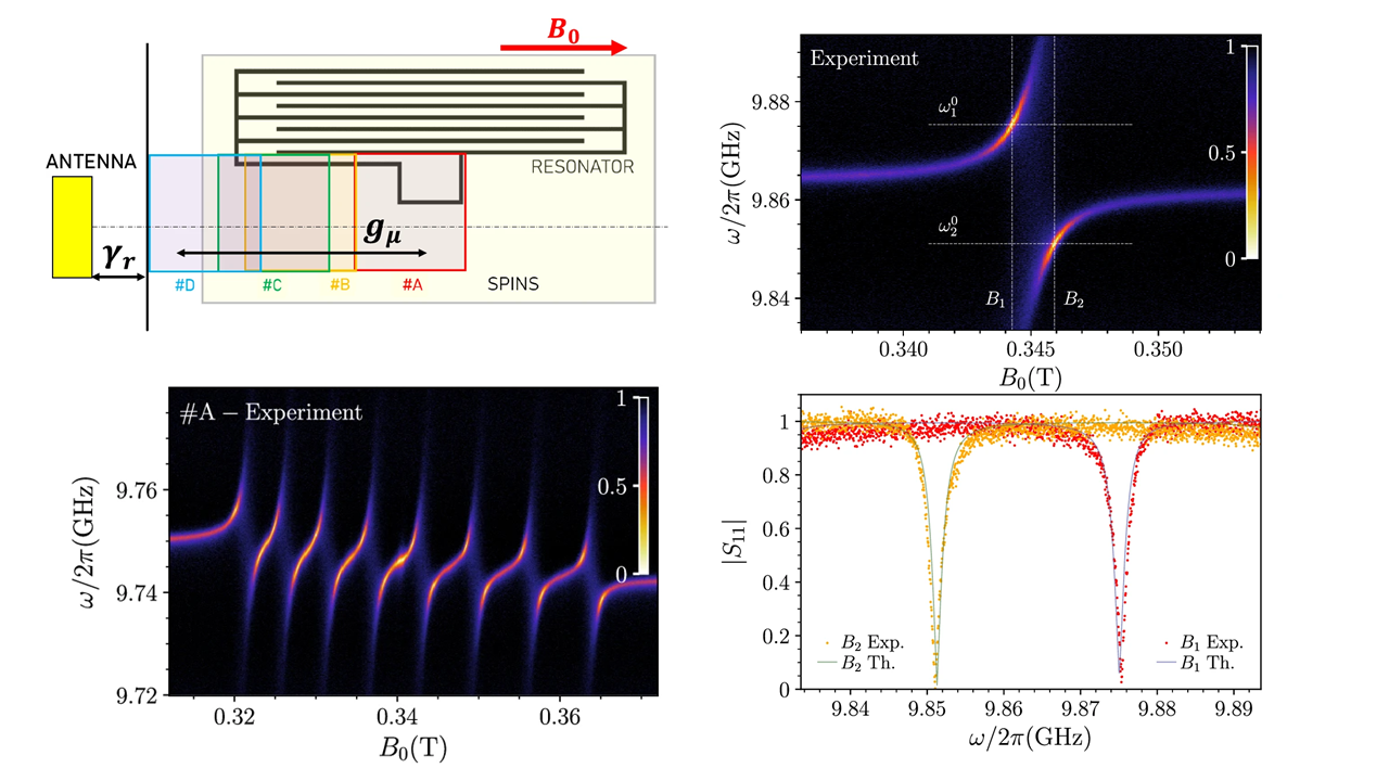 Perfect Absorption in Hyperfine Levels of Molecular Spins with Hermitian Subspaces