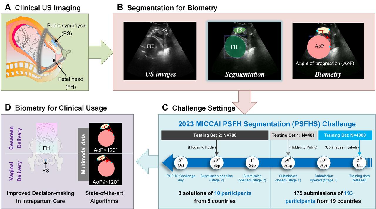 MICCAI 2023 Challenge-PSFHS
