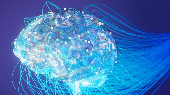 Collection on Biocomputing and Synthetic Intelligence