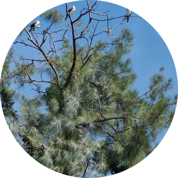 Go to the profile of Debbie