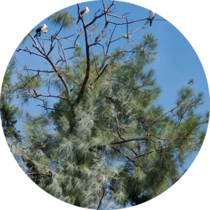 Go to the profile of Debbie