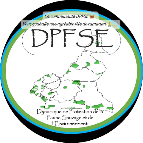 Go to the profile of Ahmadou Bouba( Ahmed friedmann)