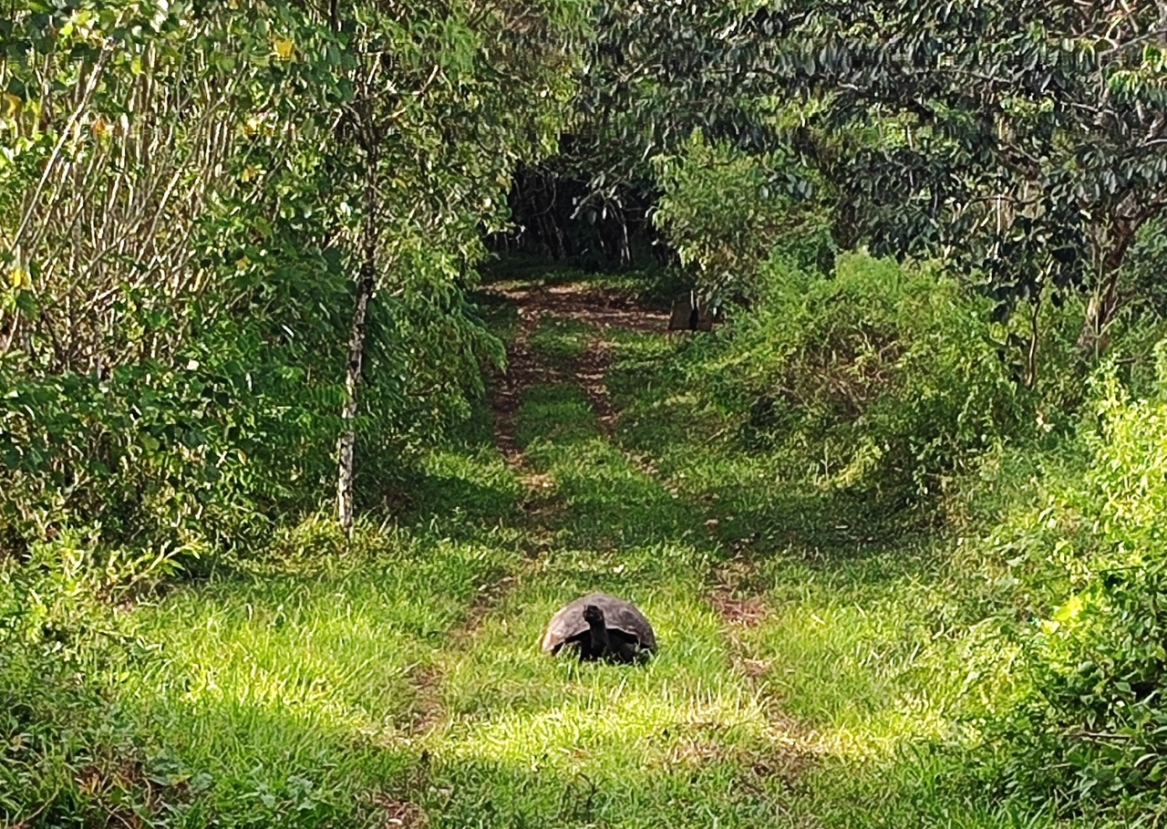 Community conservation programs: best practices & challenges