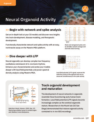 Neural Organoid Activity Assay