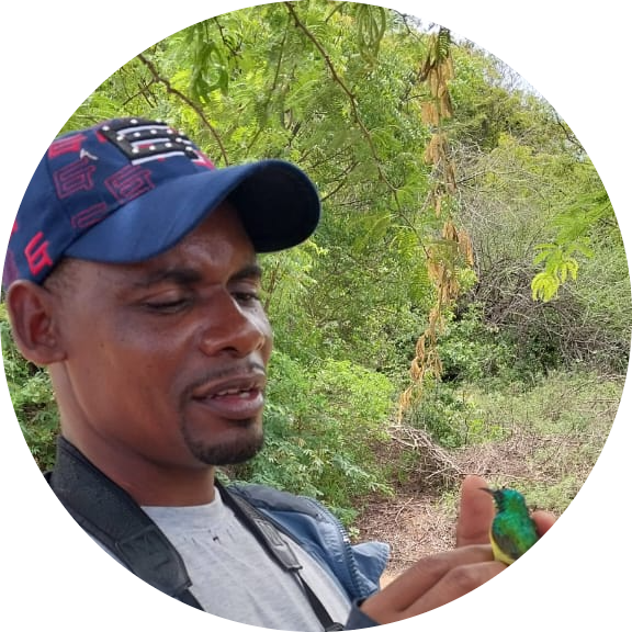 Go to the profile of Kirao