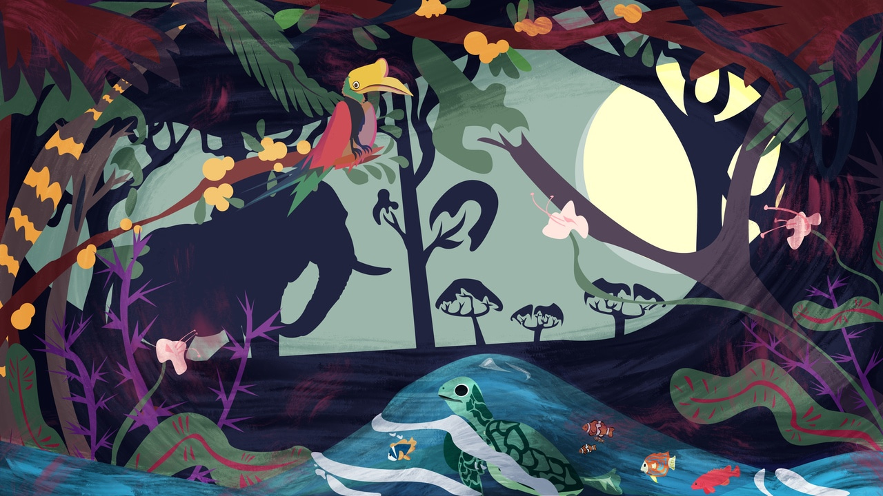 29 May: Rights of Nature: Legal Action when Nature is Harmed