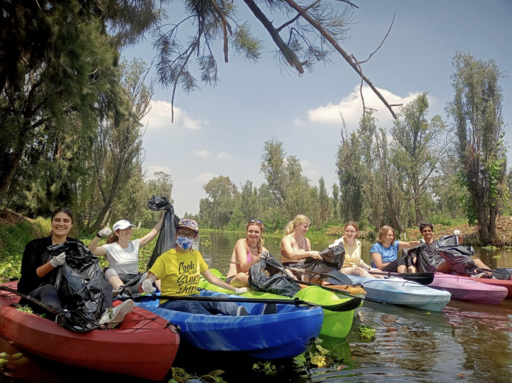 🚀Become a Champion for Your LiA Organisation🚀