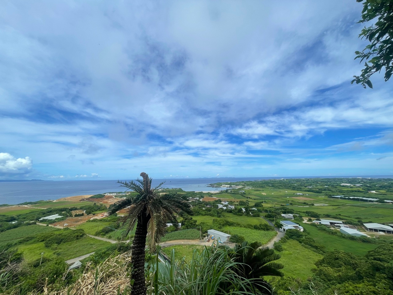 Laidlaw Scholars Network