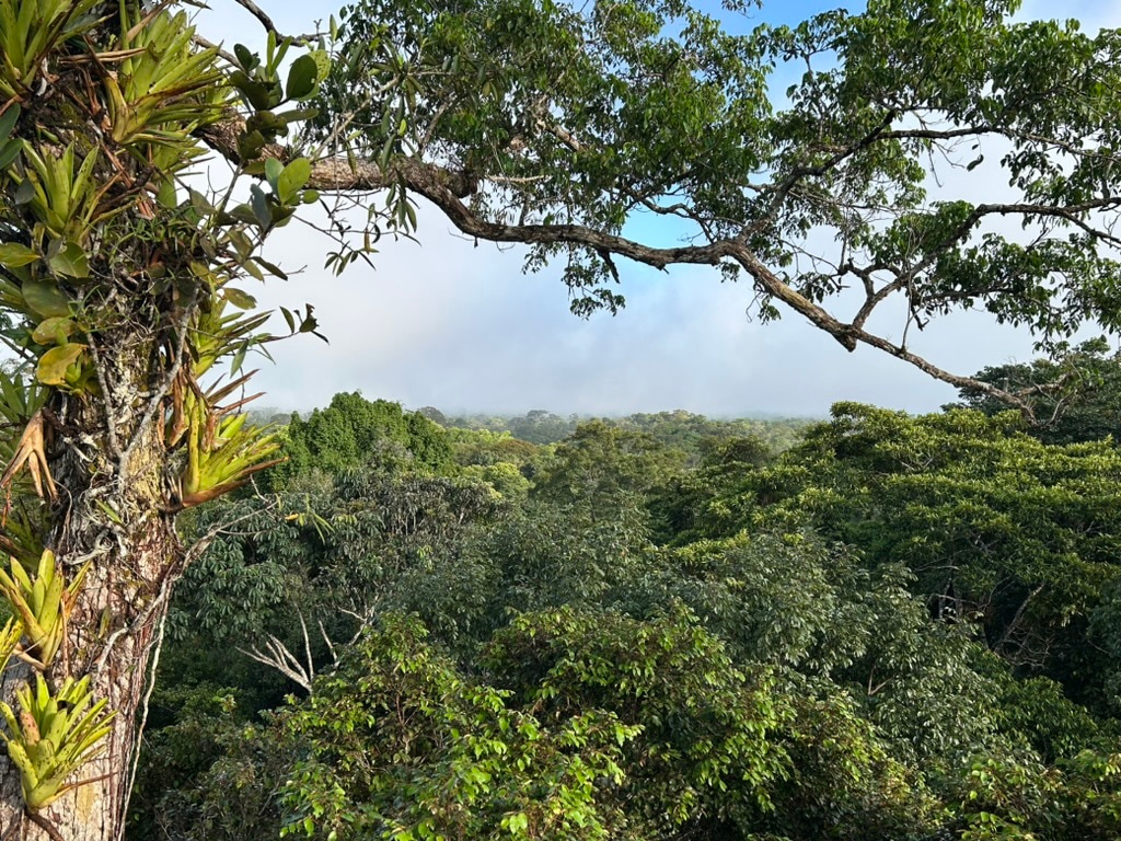 LiA Showcase - Amazonian Mammal Conservation in Loreto, Peru