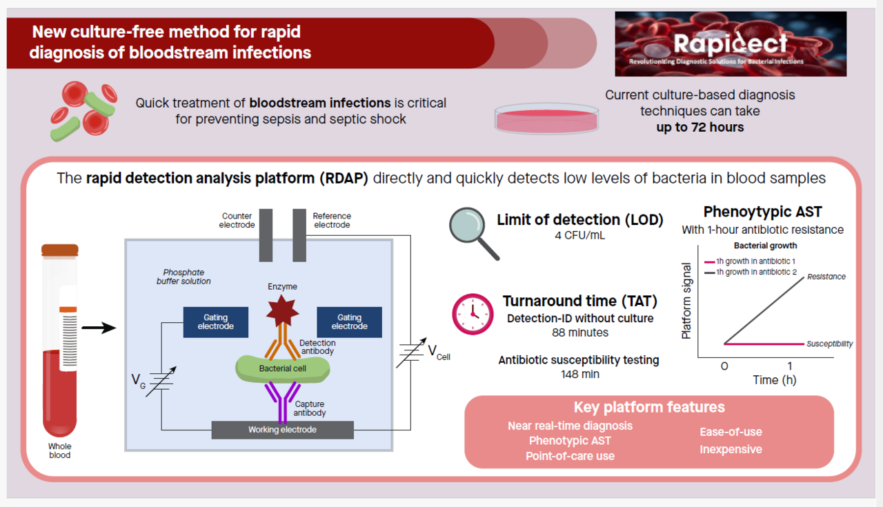 A novel way to perform rapid diagnosis of bloodstream infections
