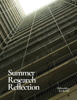 Summer Research Reflection: On The Research Process 