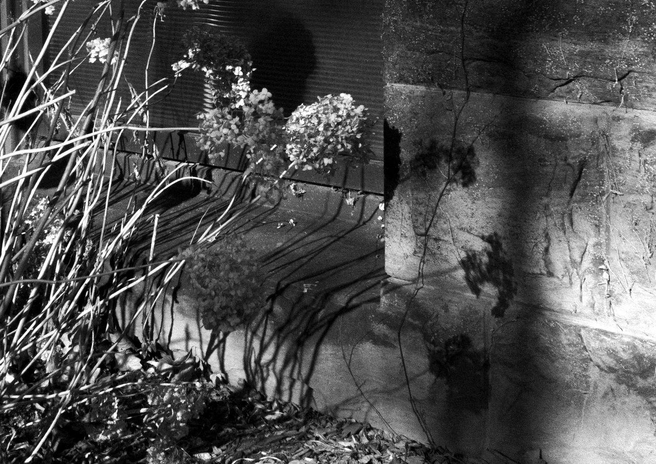 Week 1: Curating Here and There