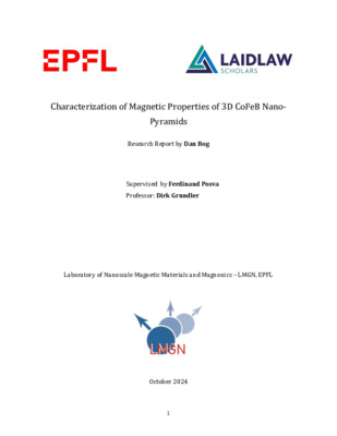 Research Report - Characterization of Magnetic Properties of 3D CoFeB Nano-Pyramids